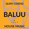 Baluu - Quint Essenz - Single